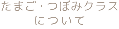 たまご・つぼみクラスについて